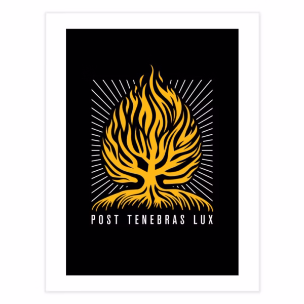 post tenebras lux after darkness light reformed shirt co